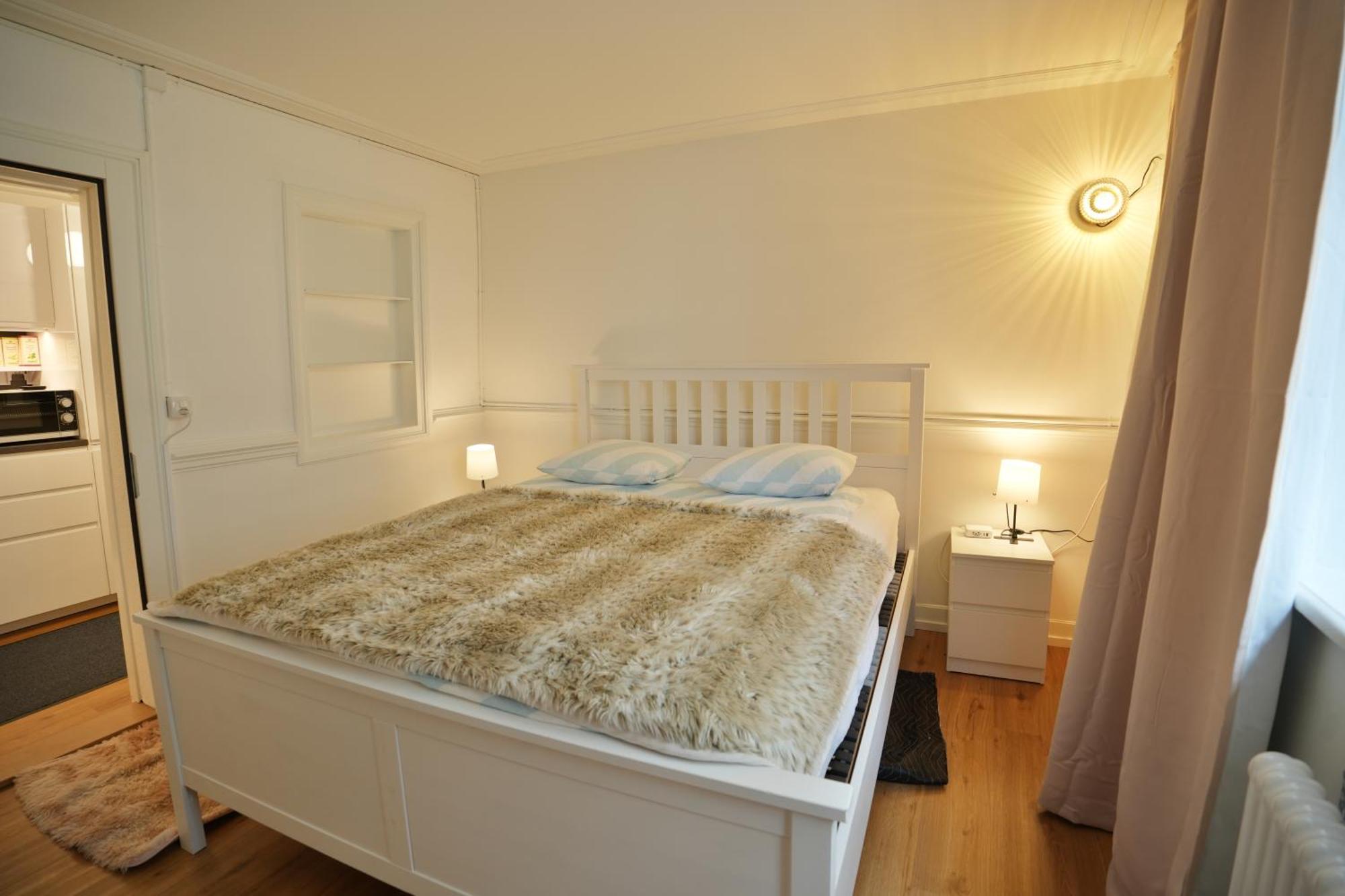 Cozy City Center, 4 Bedroom- 120Sq, 5Min Walk To Main Station Basel Dış mekan fotoğraf